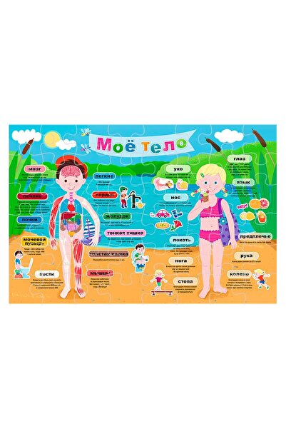 Trefl Puzzle educativ My Body RU 15528, 40 piese, 60 x 40 cm