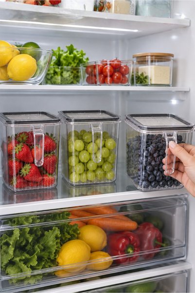 Orvila 3-Piece Transparent Food Container with Handle and Sealed Lid Storage Container Cabinet Organizer 3 Pieces