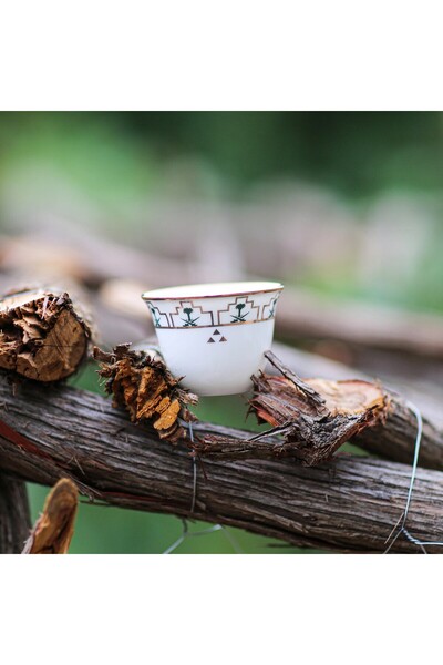 SQUALO Set of 12 Cups Palm of Authenticity