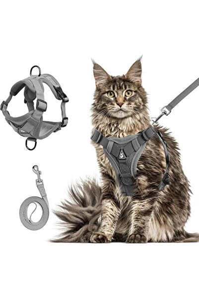 AZONEE Cat Harness and Leash Set, Adjustable Mesh Vest for Kittens & Adult Ca...