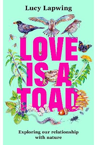 Blink Publishing Love Is A Toad: Exploring our relationship with nature