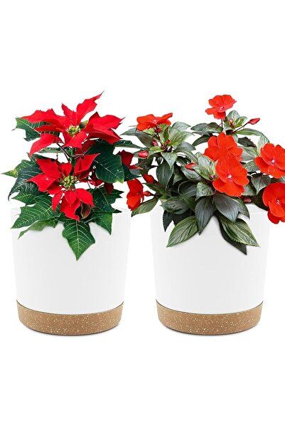GENERAL QCQHDU 6.5 inch Plant Pot, 2 Pack Planters for Indoor Plants with Dra...