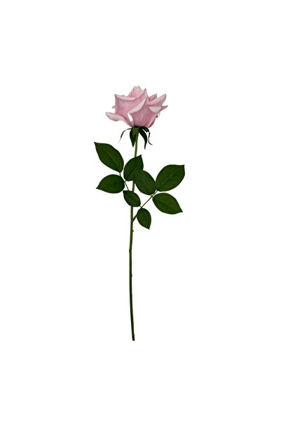Home Decor BF2015018 τεχνητό διακοσμητικό τριαντάφυλλο, ύφασμα και πολυαιθυλέ...