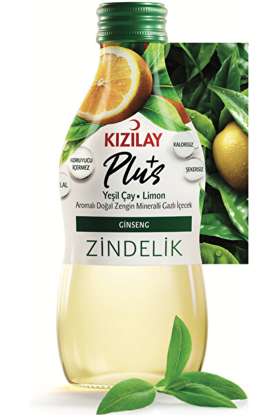 Kızılay PLUS ZİNDELİK 200MLX6