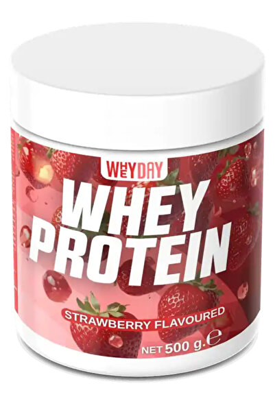 Whey Protein Tozu Çilek Aromalı 500 g.