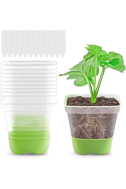 GENERAL Nursery Pots - Clear Reusable Seed Starter Pots with Reinforced Silic...
