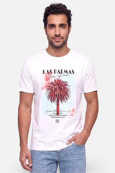 sth shore Men Crew Neck Short Sleeve Graphic Print T-Shirt, White