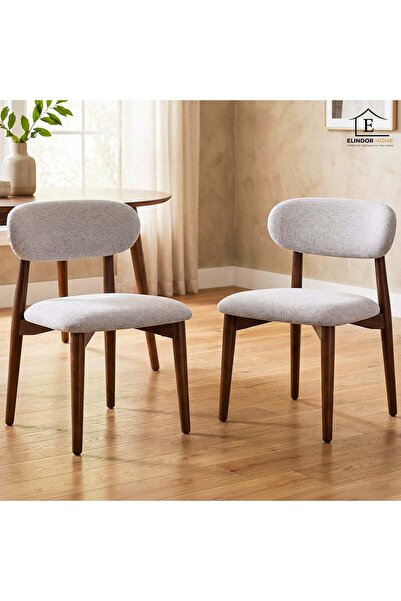 Elindor Set of 2 Elindor® Ergonomic Chairs, Contemporary Design, Chair with B...