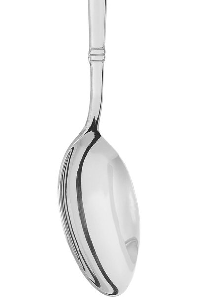 Winsor 18/10 Stainless Steel Serving Spoon Pilla