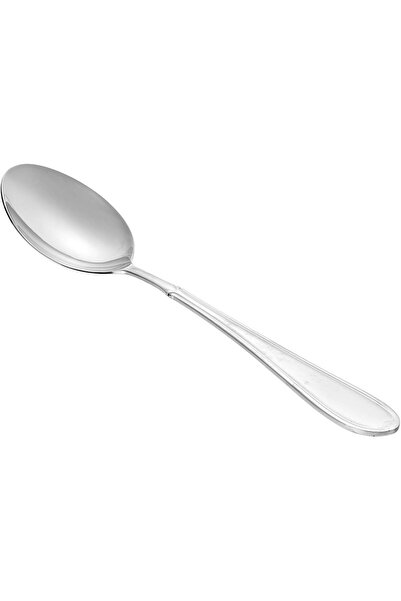 Winsor 18/10 Stainless Steel Serving Spoon Proud, Silver