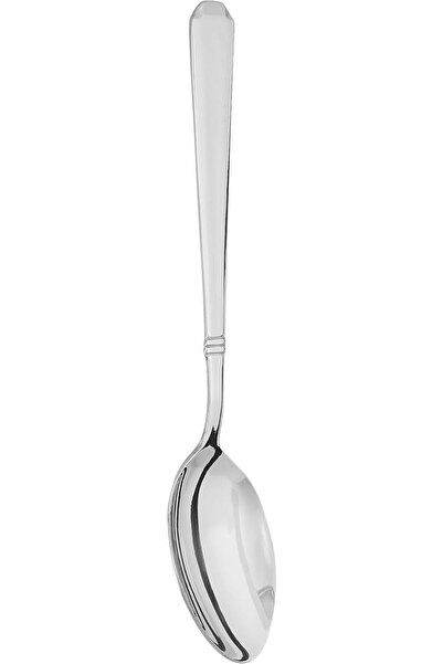 Winsor 18/10 Stainless Steel Serving Spoon Pilla