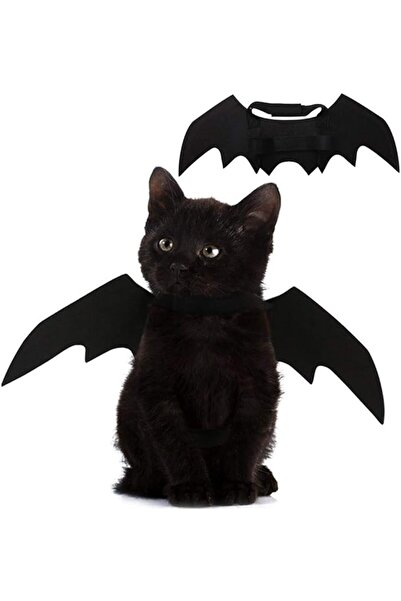 GENERAL Bat Wings for Cats and Pets for Halloween Party Decoration, Bat Costu...
