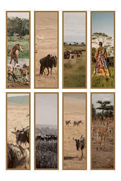 OEM Σετ 8 σελιδοδεικτών, με θέμα Savannah Herds, από ανθεκτικό χαρτόνι