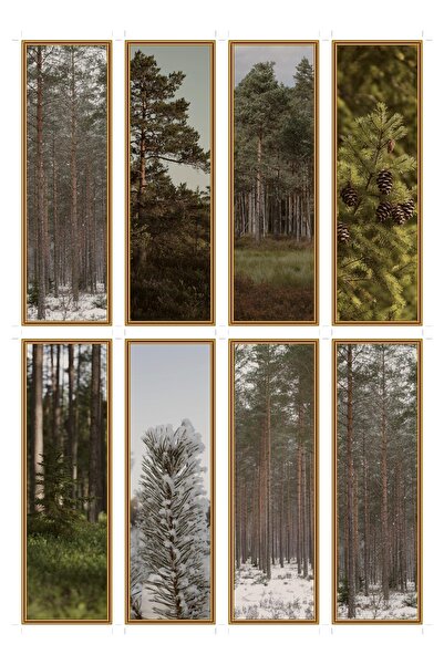 OEM Set 8 Semne de Carte Tematica Pin Boreal, Pădure și Natură, Carton Premiu...