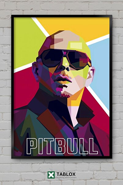 TABLOX Πίτμπουλ Ράπερ Τραγουδιστής Μουσικός Mr Worldwide Πορτρέτο Πλαισιωμένο...