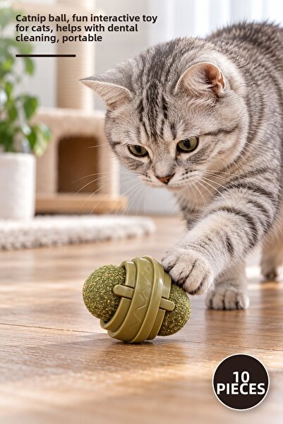 Yenilig 10 Pieces Catnip Play Ball – Catnip Ball, Fun Interactive Toy for Cat...