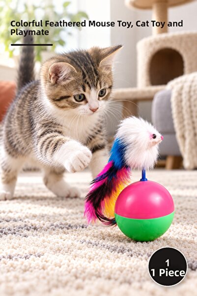 Yenilig 1 Piece of Cat Hacı Yatmaz Game - Colorful Furry Mouse Toy, Cat Toy a...