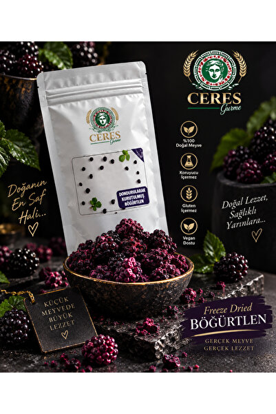 2 Adet Freeze Dried Böğürtlen - Dondurularak Kuru Meyve- Kuru Meyve Cipsi