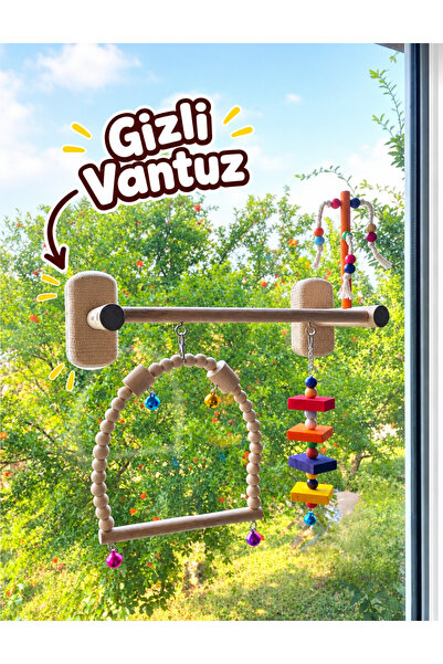 ADAPATİ PET Glass Front 4 Suction Cups Bird Play Seat