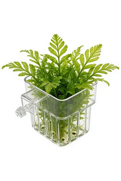 Choice Aquarium Plant Holder Transparent Aquarium Decorations Pot Aquatic Pla...
