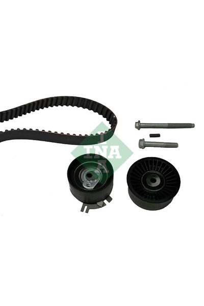 İna Set curea de distribuție 530 0198 10