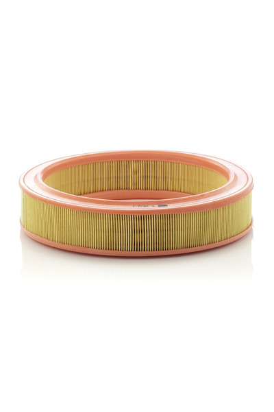 Mann-Filter Air filter C 2873/1