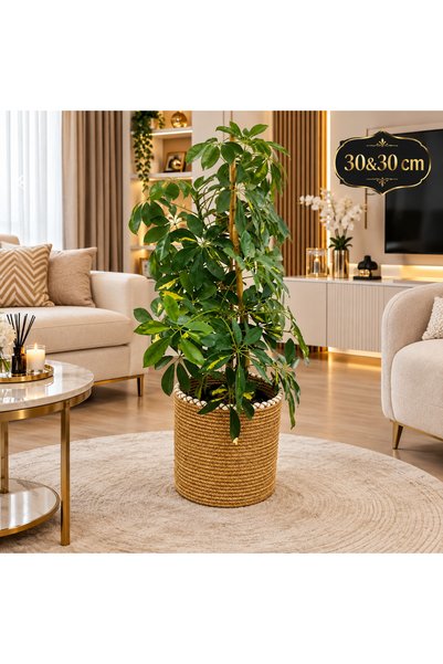 SHLM TEKSTİL 32&32 Cmtoy Basket, Organizer, Decorative Basket