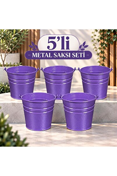 ÖZHEMMEKLER 5'li Metal Saksı Seti - Masaüstü ve Balkon Dekoratif Metal Saksı ...