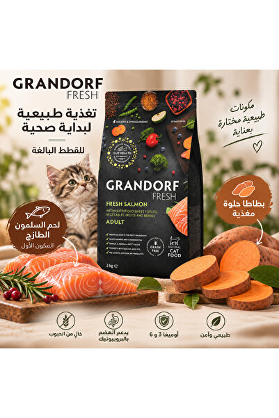 Grandorf قراندورف طعام جاف للقطط نكهة السلمون الطازج للقطط البالغة 2كجم