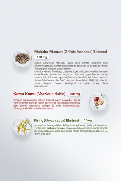 Barbaris Collagen & Elastin Powder (Balık Kolajeni Tip1-3) - 60 Şase (Shaker Hediye) - Hidrolize Kolajen, İçeren Takviye Edici Gıda