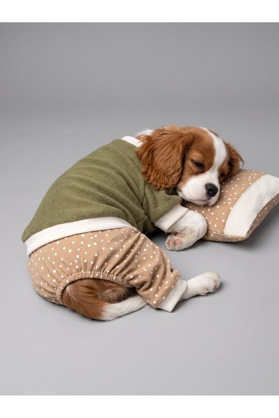 Kemique Latte & Matcha Köpek Rüyası | Pamuklu Köpek Tulumu, Polar Sweatshirt ...