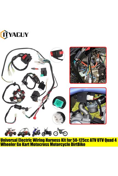 Choice Full Complete Electrics Wiring Harness CDI STATOR Kit For Motorcycle A...