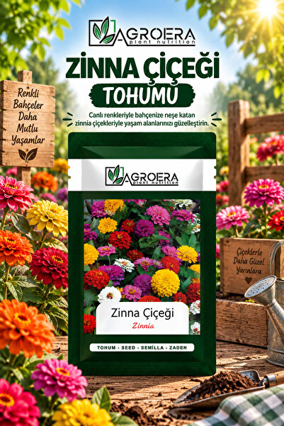 Beybeğendi zinnia Çiçek Tohumu 50 Adet