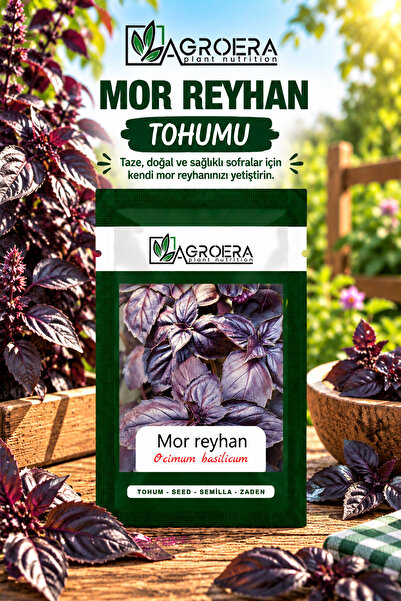 AGROERA Mor Fesleğen/reyhan Tohumu 2100 Adet / 3 Gr.