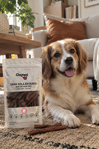 Dana Kolajen Burgu 100% Doğal Katkısız Köpek Ödülü 100 Gr