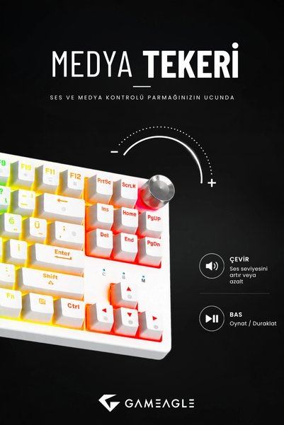 gameagle Dryo RGB Mekanik Oyuncu Klavyesi Red Switch Anti-Ghosting Multimedya Kontrollü TR Q