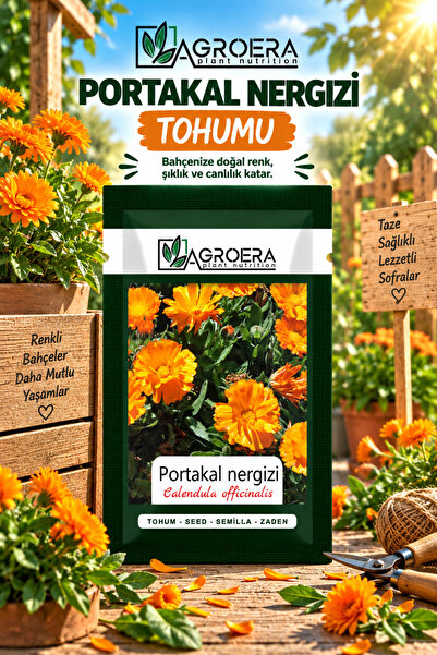 AGROERA Portakal Nergisi - Aynı Sefa (calendula Officinalis) Çiçek Tohumu 100...