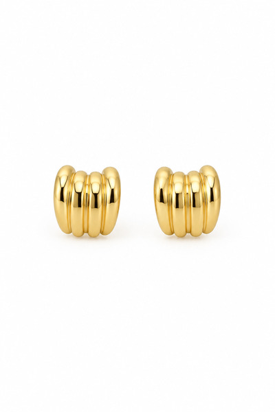 stravis Gold Color Line Detail Earrings