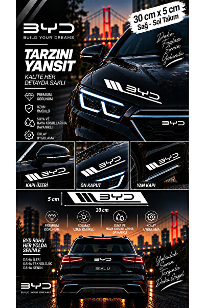 İntervex Global Byd Compatible Sports Body Stripe Sticker Right Left Side Doo...