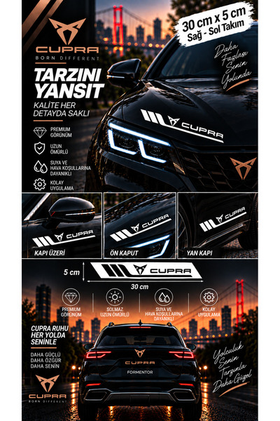 İntervex Global Suzuki Compatible Sport Body Stripe Sticker Right Left Side Door Fender Sticker 2 Pieces