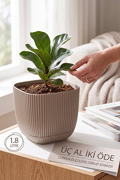 TEMMUZ HOME 1 Adet Mercan Kare Saksı Dekoratif Kaktüs Ve Çiçek Saksısı 3 No