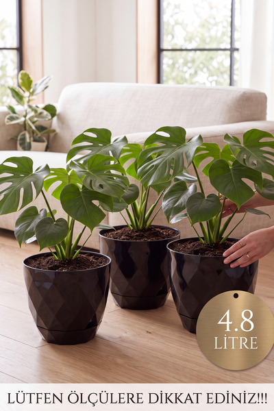 TEMMUZ HOME No4 3 Adet 4,8 Litre Prizma Desenli Tabaklı Plastik Saksı Yakamoz...