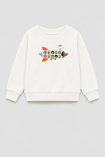 Monila Erkek Çocuk 3 İplik Kumaş Pamuklu Uçak Baskılı Sweatshirt