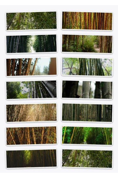 OEM Bamboo Forest Sticker Pack, Set of 14 Stickers, Decorative, Durable Vinyl