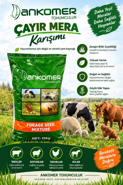 ANKOMER ÇAYIR MERA KARIŞIMI 6 MİX 10 KG