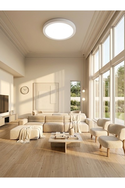 Çabuk Elektrik Beyaz Yuvarlak LED Tavan Lamba / Minimalist Salon Ve Yatak Oda...