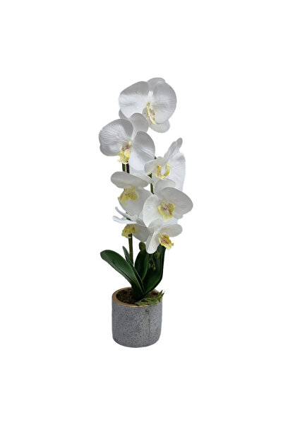 velve Orhidee cu aspect in ghiveci ceramic gri, 50 cm, galben pestrit