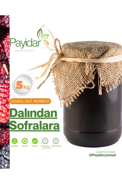 Payidar Yöresel Ürünleri %100 Organik Dut Pekmezi Sekersiz Katkısız 5KG