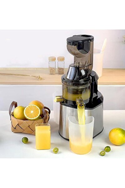 GENERAL Slow Masticating Juicer, Slow Fruit/Vegetable Juicer, Cold Press with...