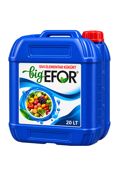 BİG EFOR PH REGİLATÖR